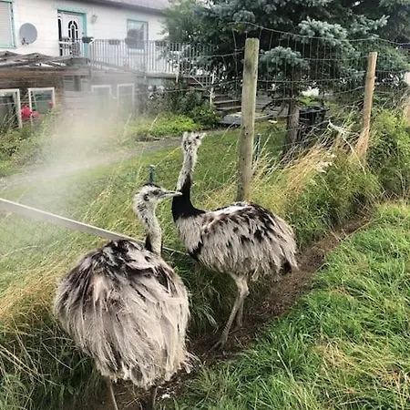 Tatil Evi *neu* Extravagantes Eifelhaus Am Nuerburgring