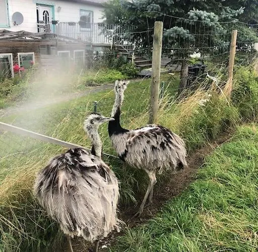 Holiday home *neu* Extravagantes Eifelhaus Am Nuerburgring